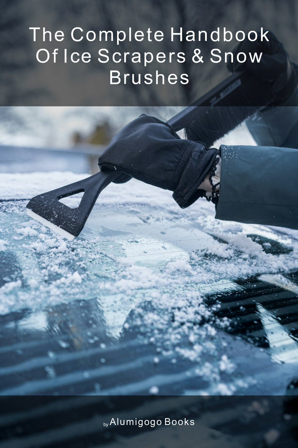 Cover of The Complete Handbook of Ice Scrapers & Snow Brushes