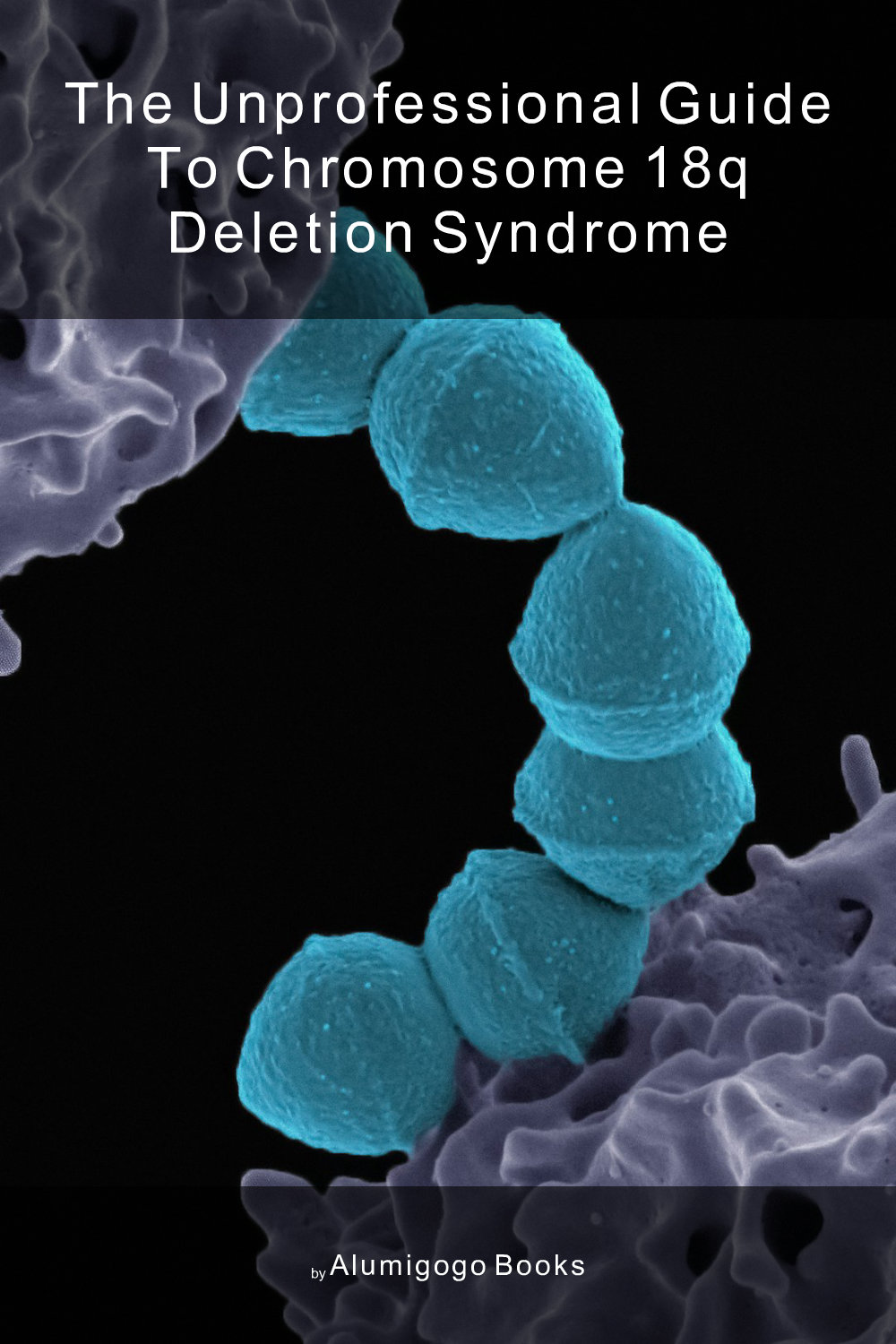 Cover of The Unprofessional Guide to chromosome 18q deletion syndrome
