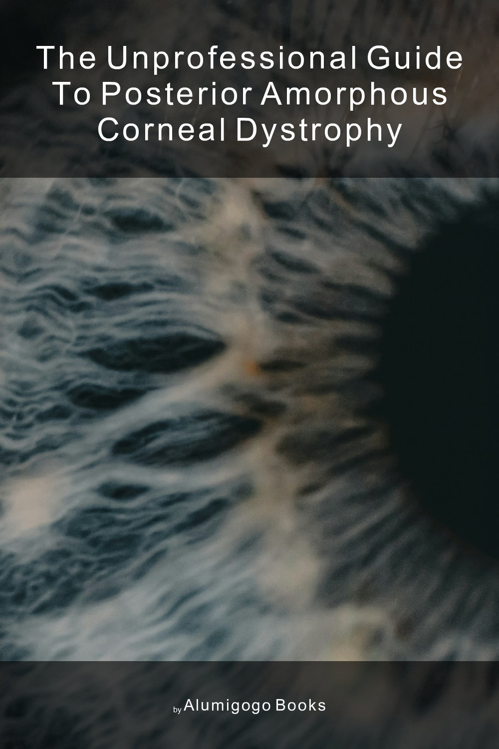 Cover of The Unprofessional Guide to posterior amorphous corneal dystrophy