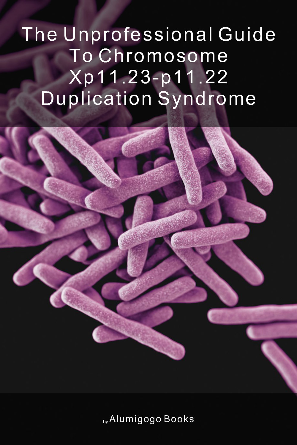 Cover of The Unprofessional Guide to chromosome Xp11.23-p11.22 duplication syndrome