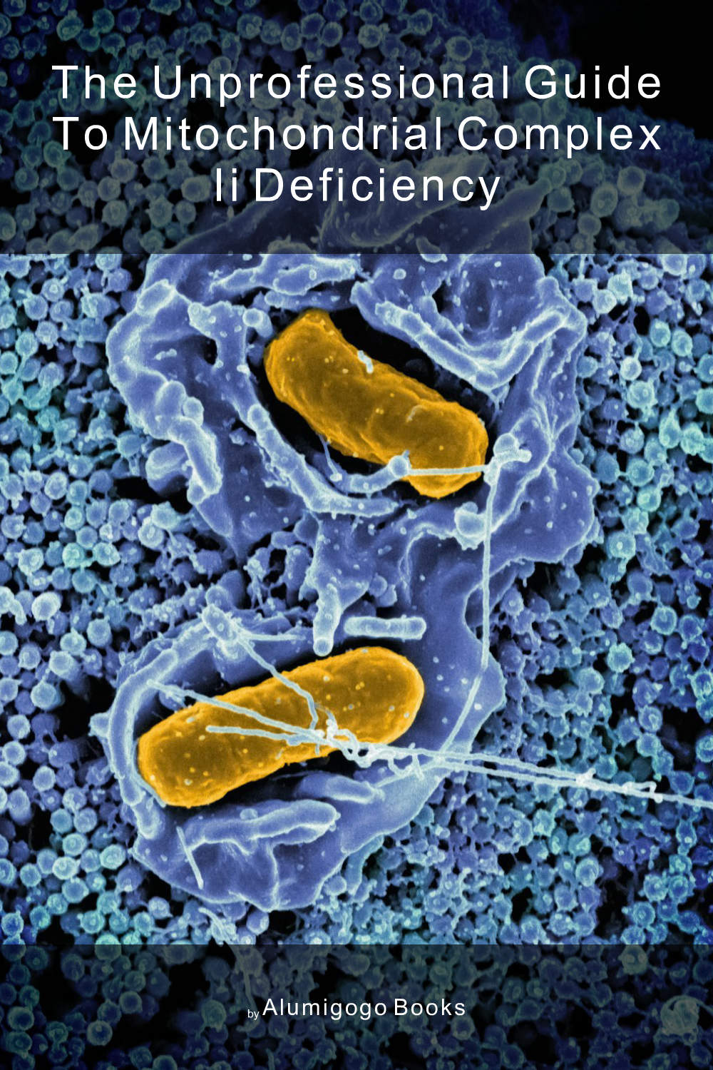 Cover of The Unprofessional Guide to mitochondrial complex II deficiency