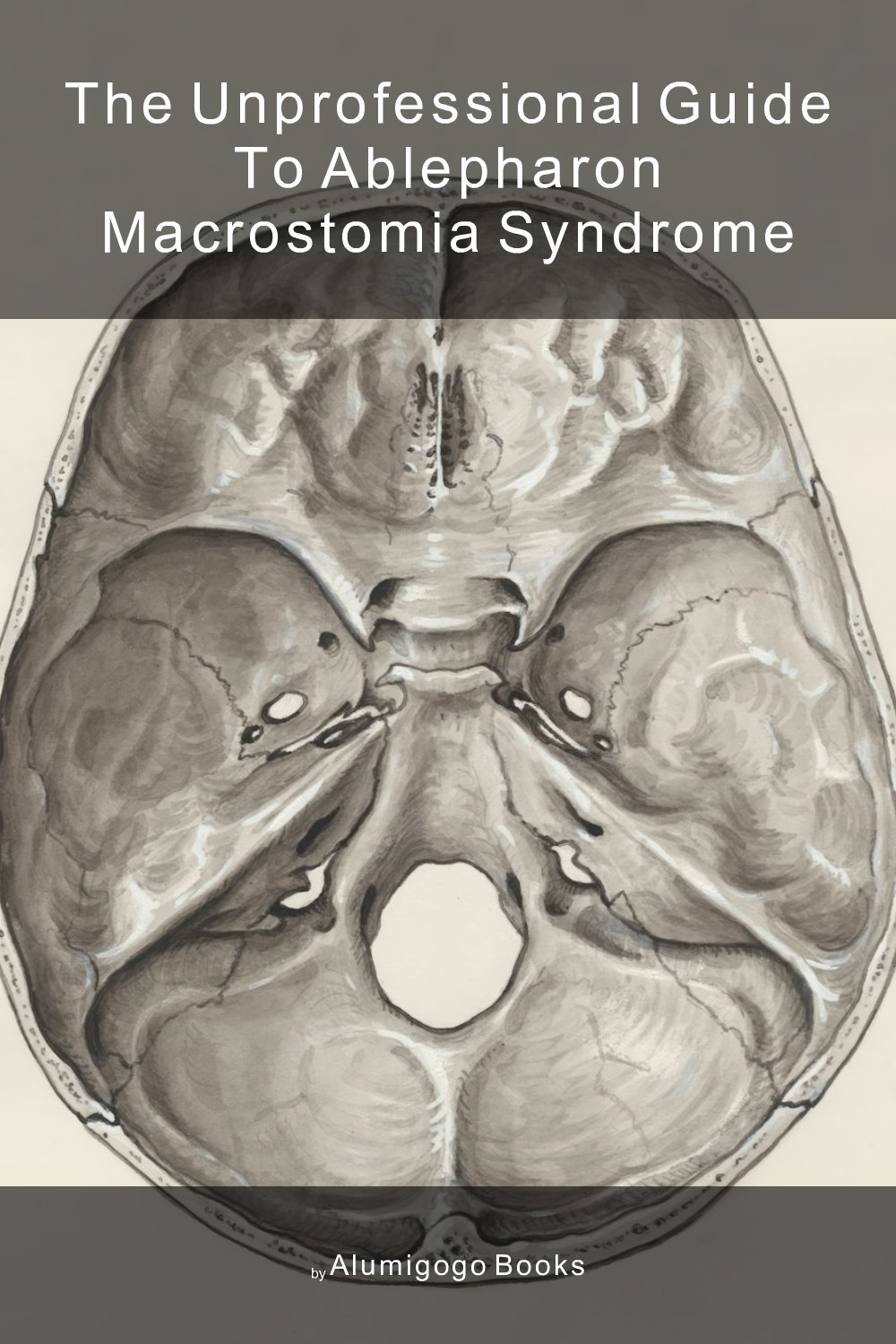 Cover of The Unprofessional Guide to ablepharon macrostomia syndrome