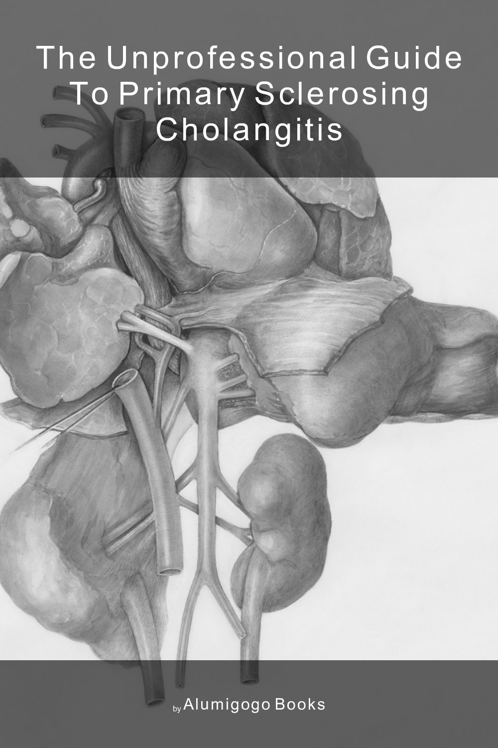 Cover of The Unprofessional Guide to primary sclerosing cholangitis