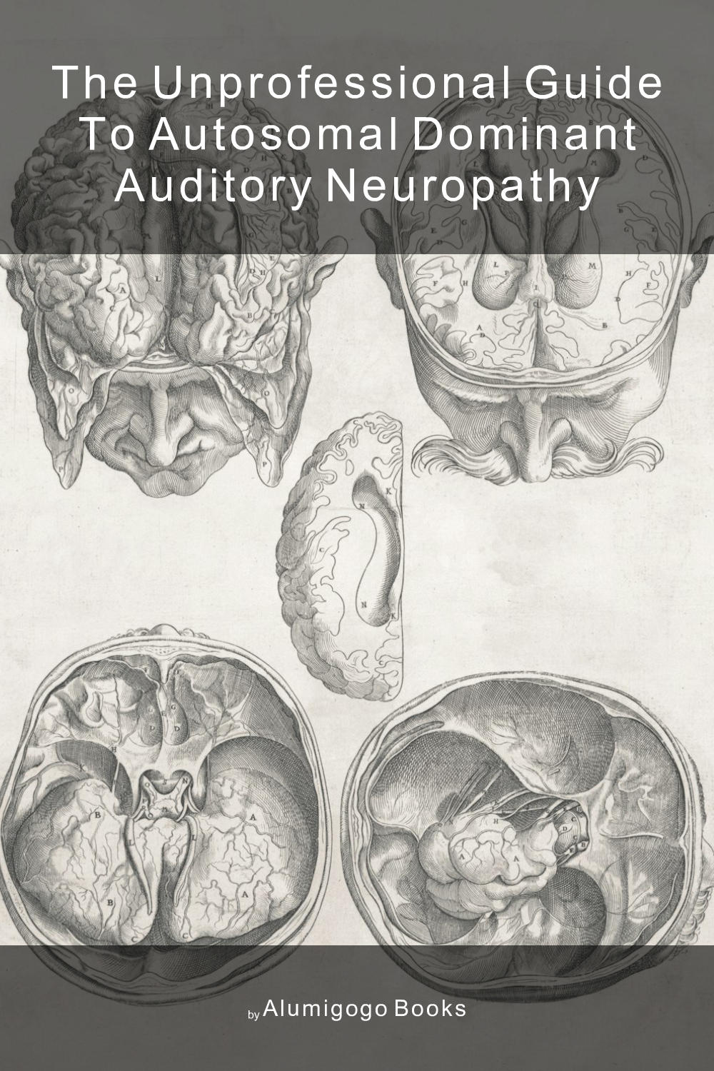 Cover of The Unprofessional Guide to autosomal dominant auditory neuropathy