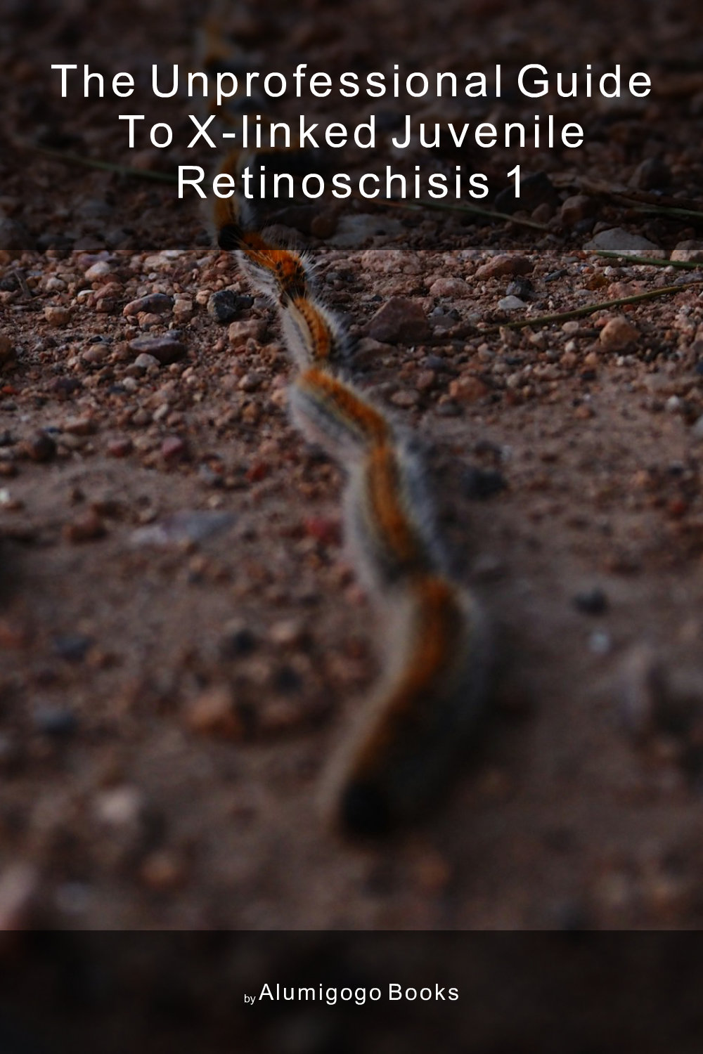 Cover of The Unprofessional Guide to X-linked juvenile retinoschisis 1