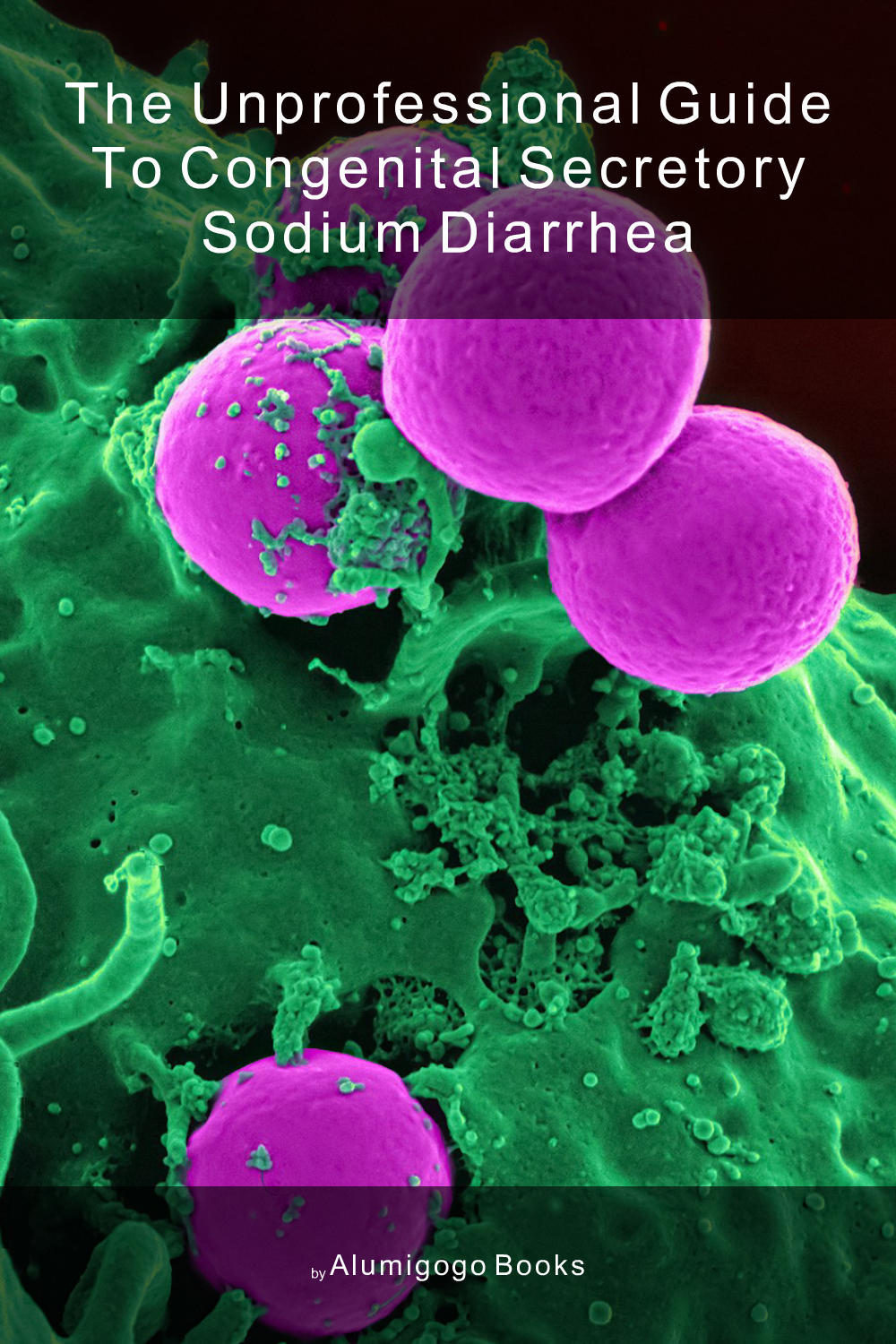 Cover of The Unprofessional Guide to congenital secretory sodium diarrhea