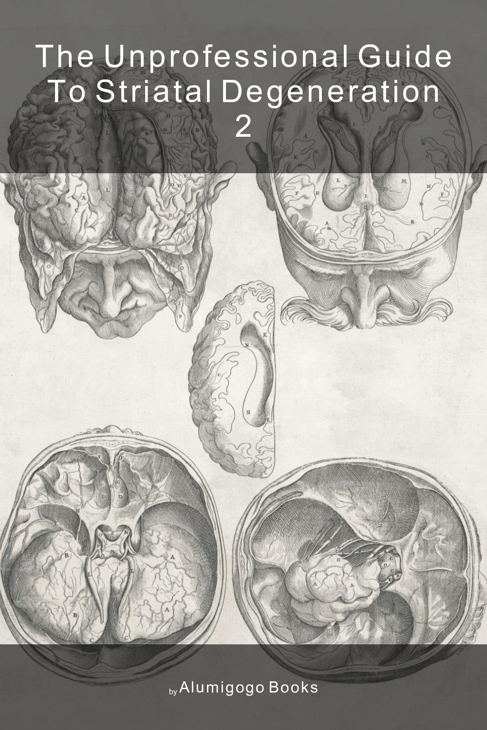 Cover of The Unprofessional Guide to striatal degeneration 2