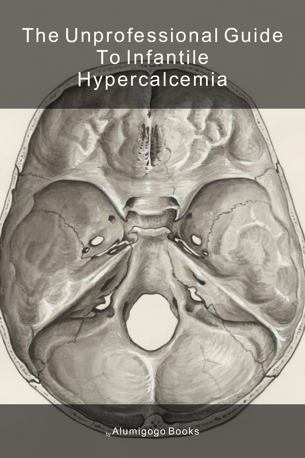 Cover of The Unprofessional Guide to infantile hypercalcemia