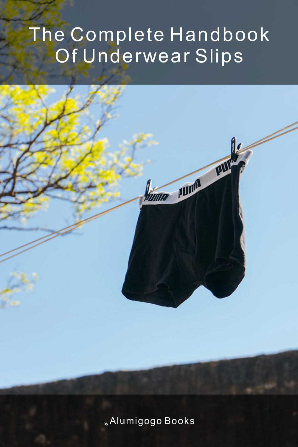 Cover of The Complete Handbook of Underwear Slips