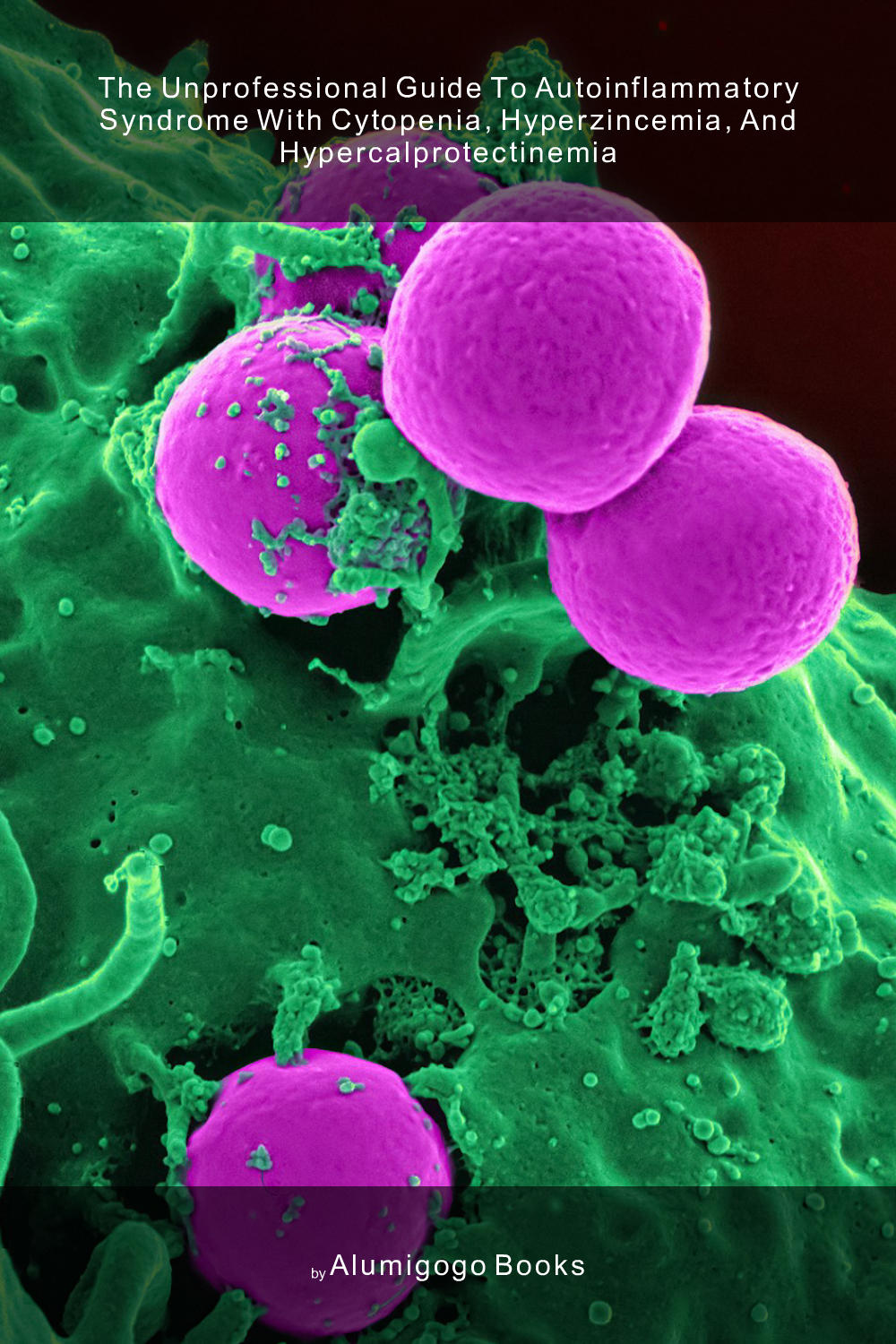 Cover of The Unprofessional Guide to autoinflammatory syndrome with cytopenia, hyperzincemia, and hypercalprotectinemia