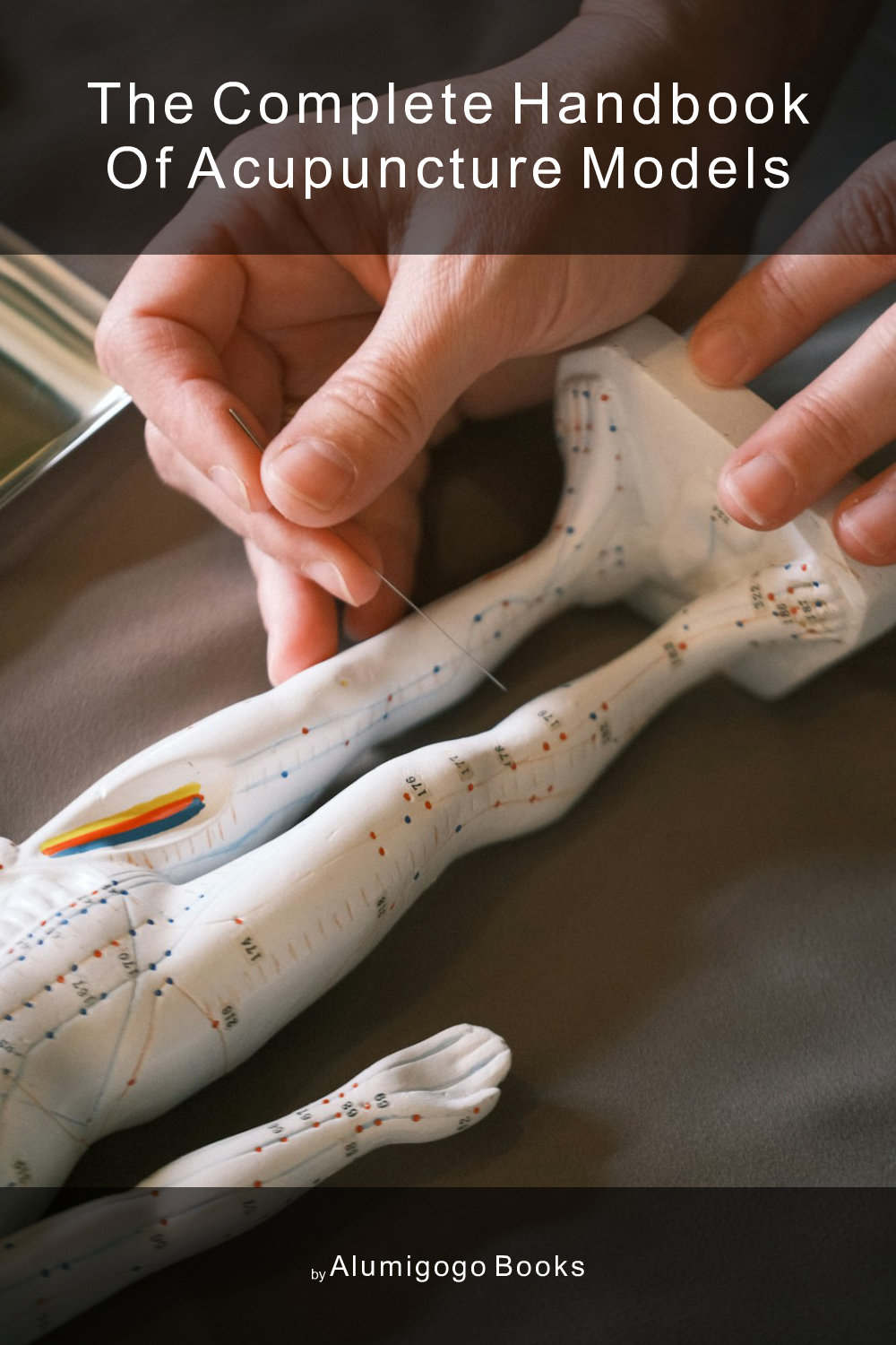 Cover of The Complete Handbook of Acupuncture Models
