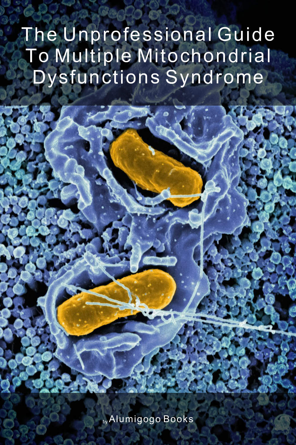 Cover of The Unprofessional Guide to multiple mitochondrial dysfunctions syndrome