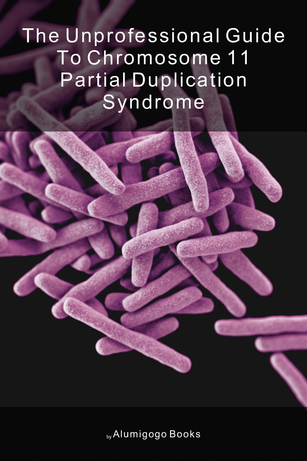 Cover of The Unprofessional Guide to chromosome 11 partial duplication syndrome