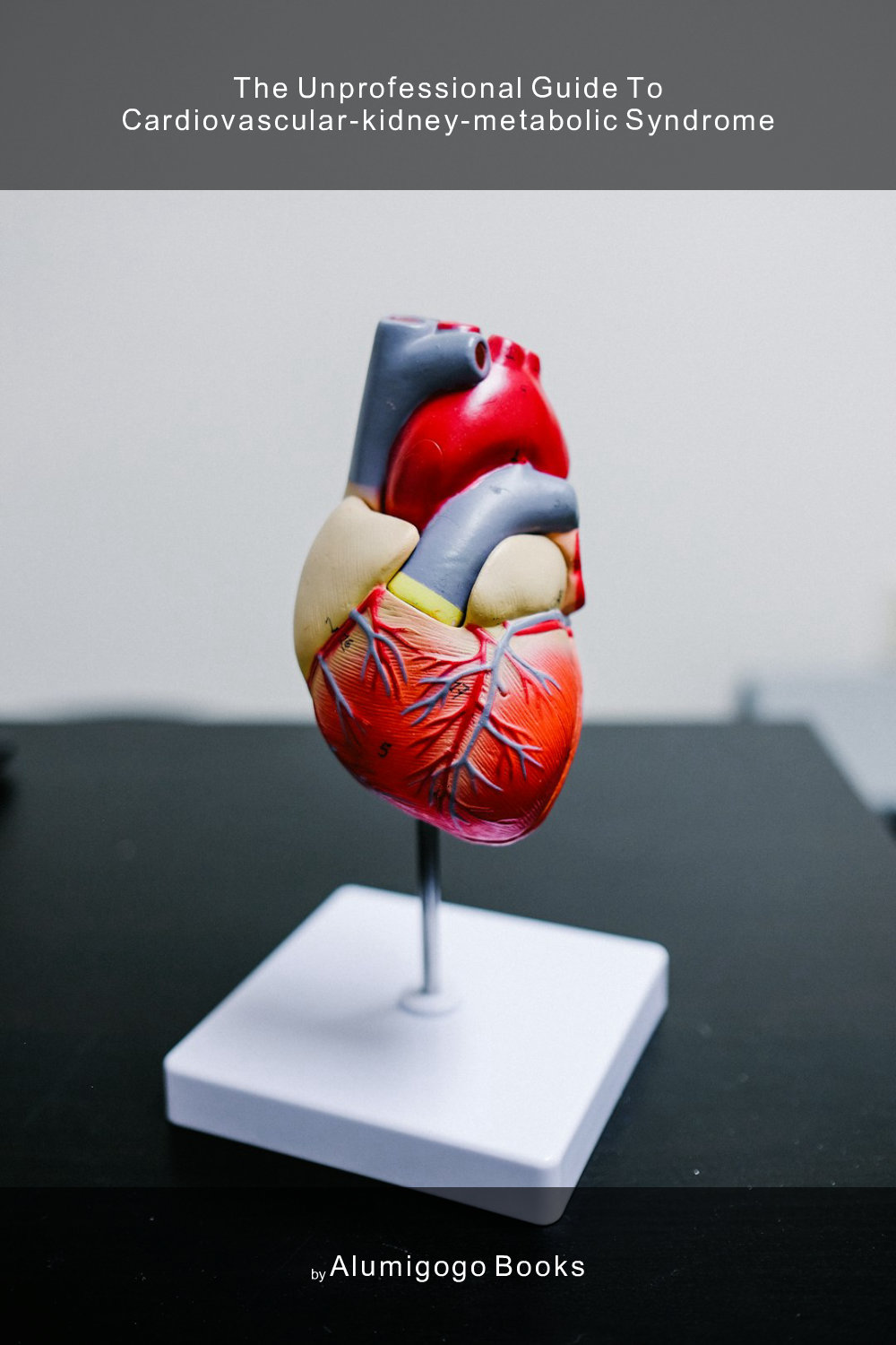 Cover of The Unprofessional Guide to cardiovascular-kidney-metabolic syndrome