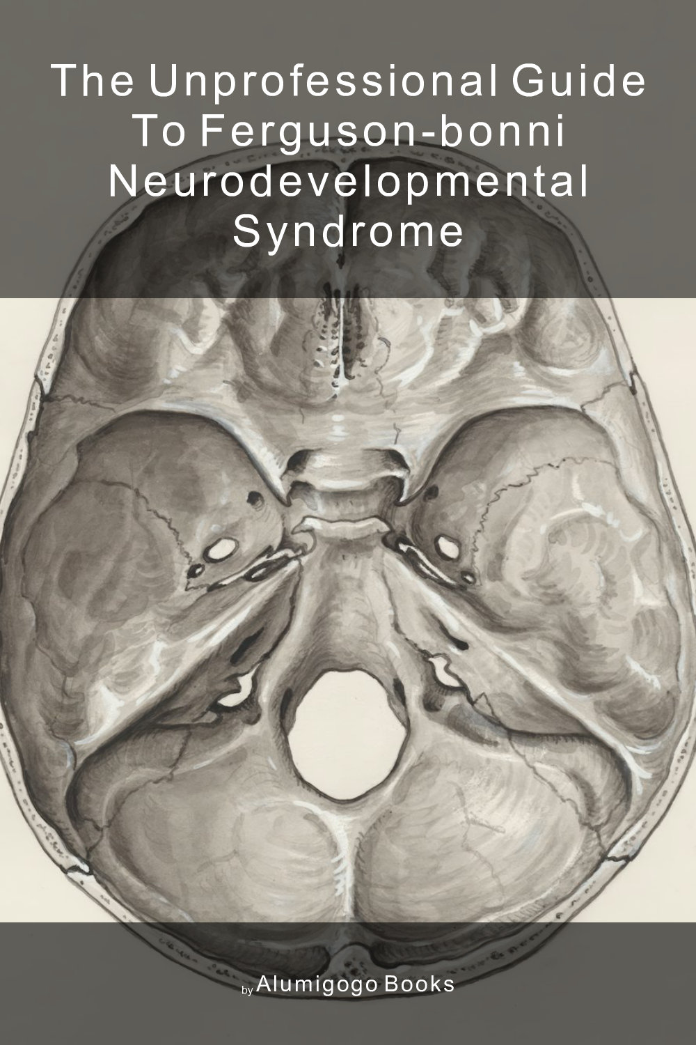 Cover of The Unprofessional Guide to Ferguson-Bonni neurodevelopmental syndrome