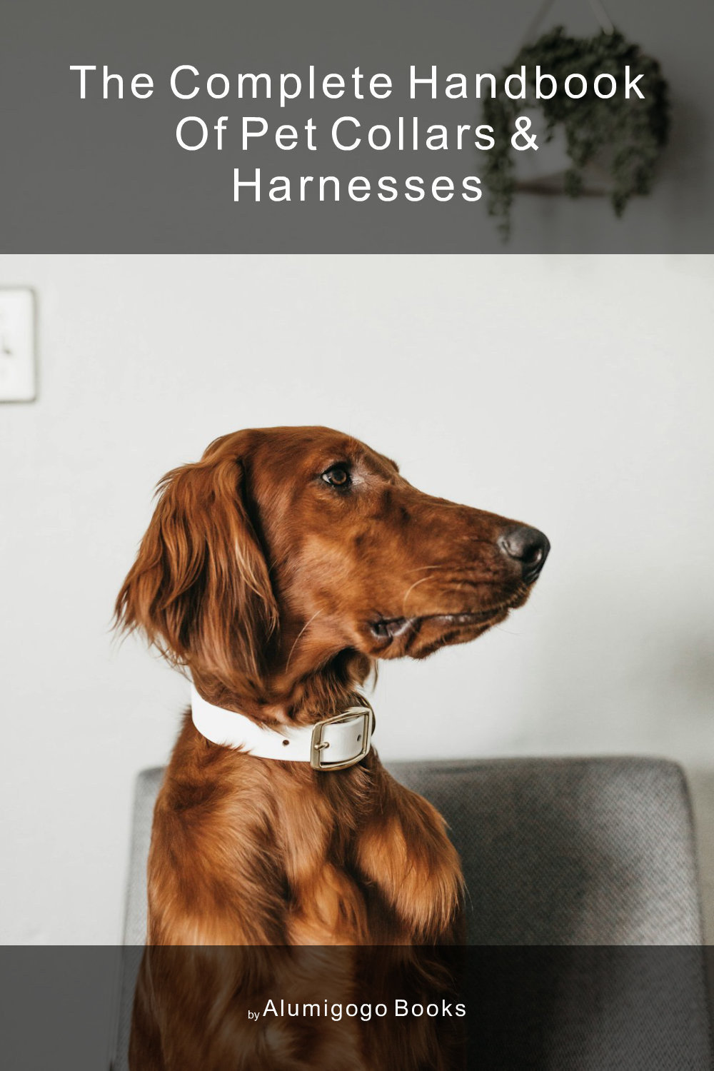Cover of The Complete Handbook of Pet Collars & Harnesses