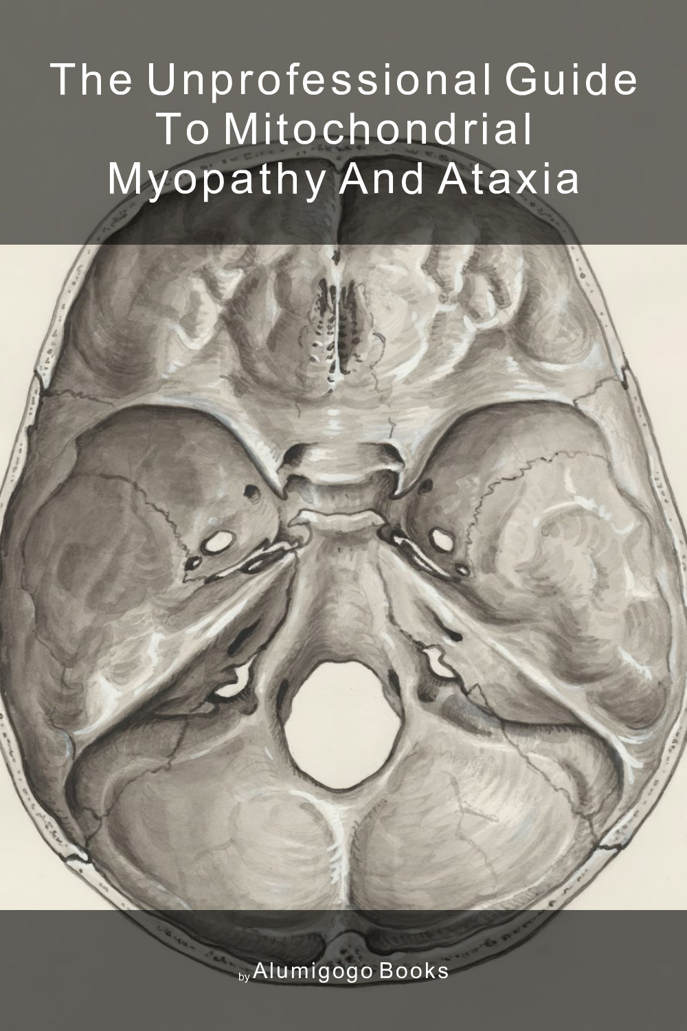 Cover of The Unprofessional Guide to mitochondrial myopathy and ataxia
