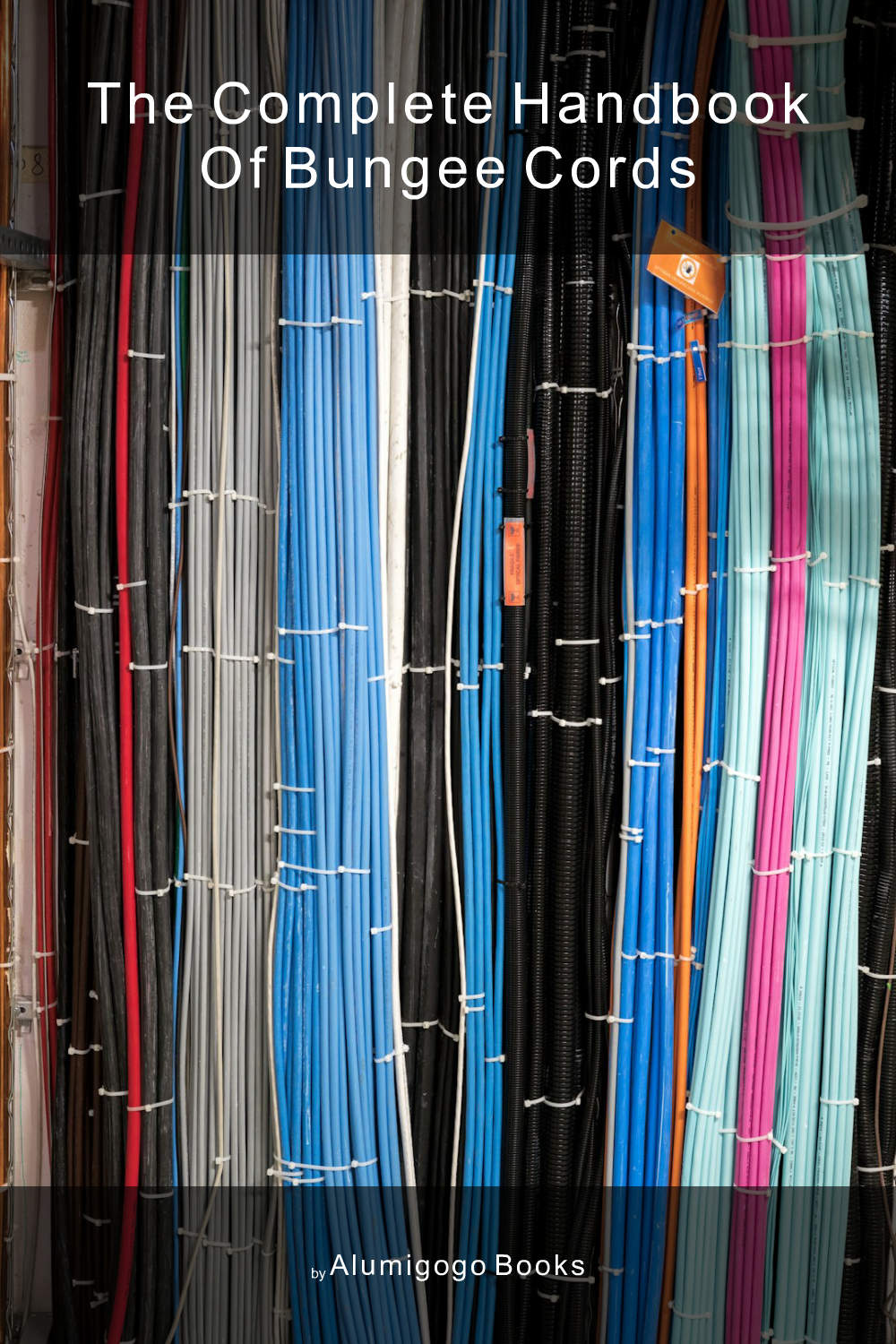Cover of The Complete Handbook of Bungee Cords