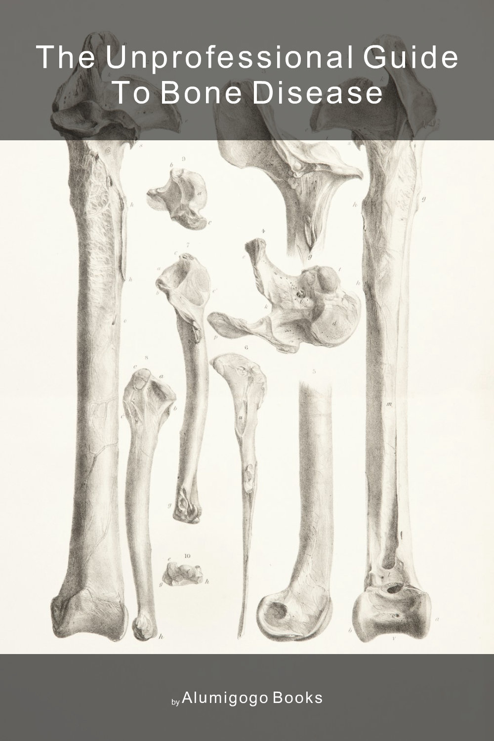 Cover of The Unprofessional Guide to bone disease