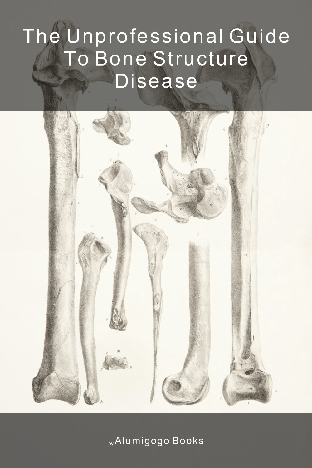 Cover of The Unprofessional Guide to bone structure disease