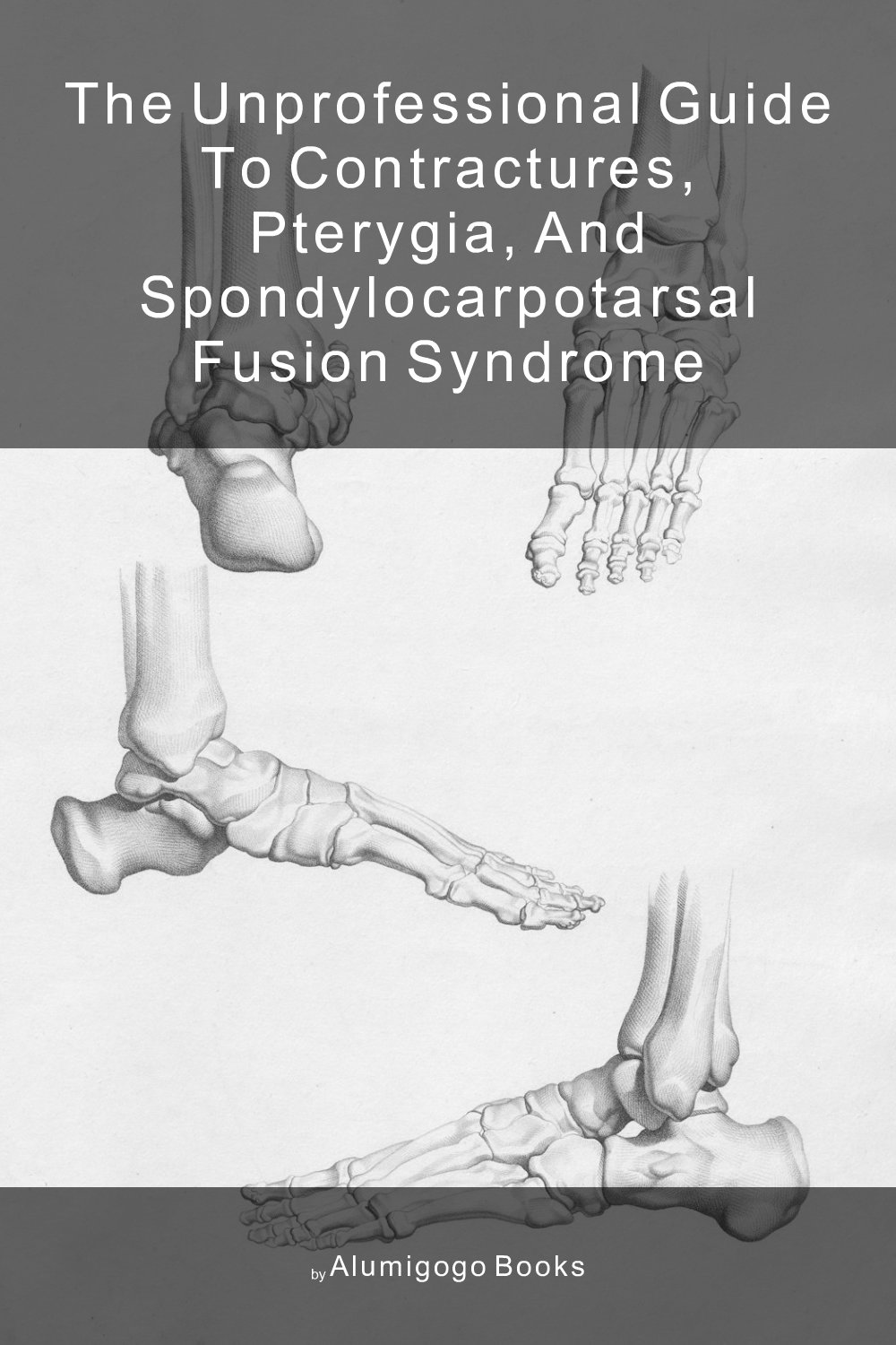Cover of The Unprofessional Guide to contractures, pterygia, and spondylocarpotarsal fusion syndrome