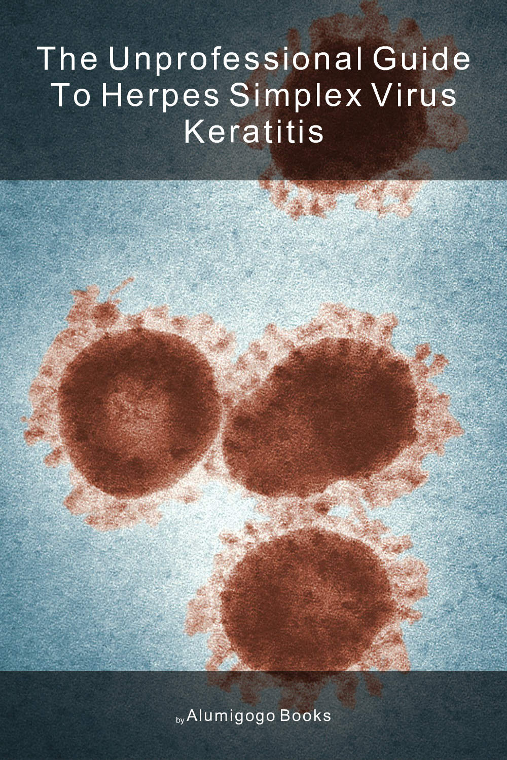 Cover of The Unprofessional Guide to herpes simplex virus keratitis
