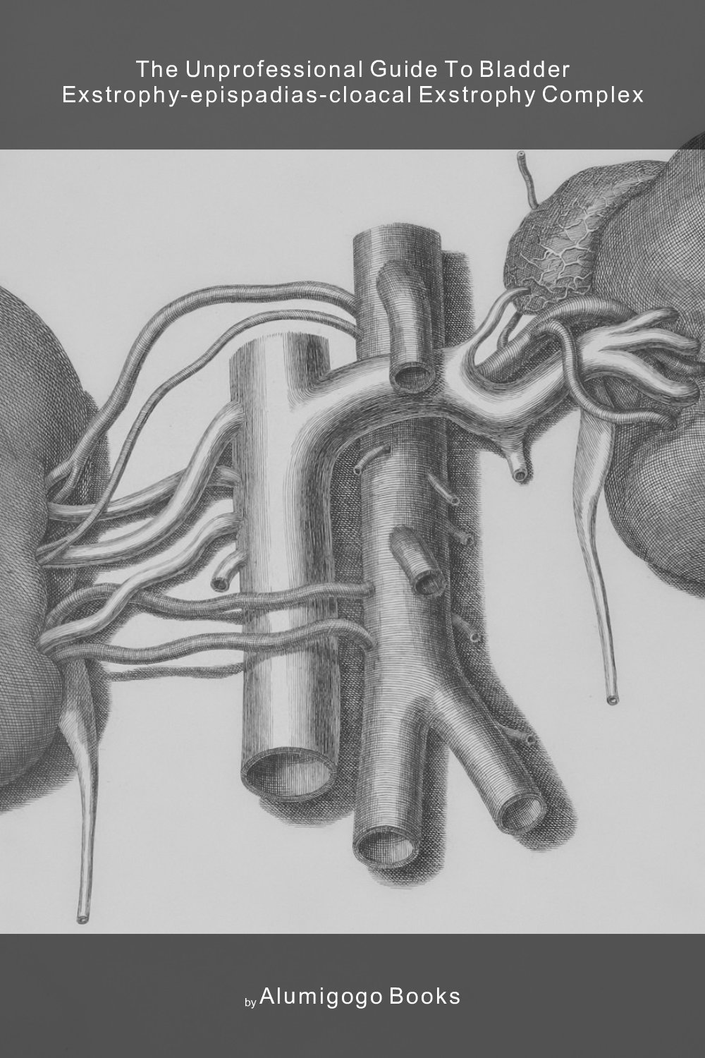 Cover of The Unprofessional Guide to bladder exstrophy-epispadias-cloacal exstrophy complex