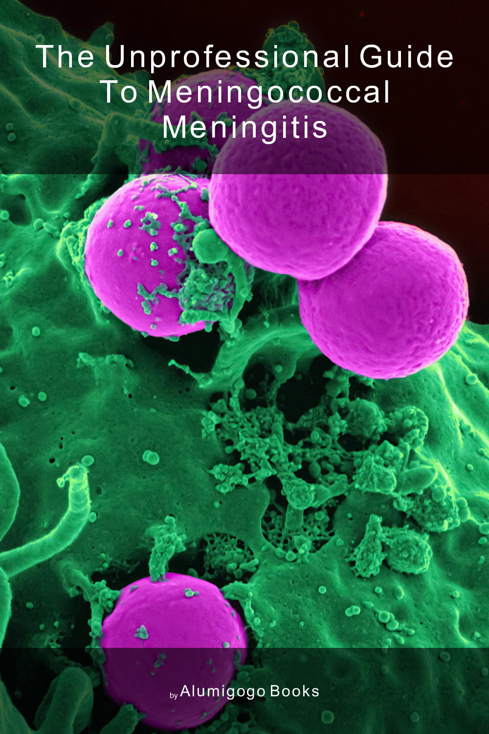 Cover of The Unprofessional Guide to meningococcal meningitis