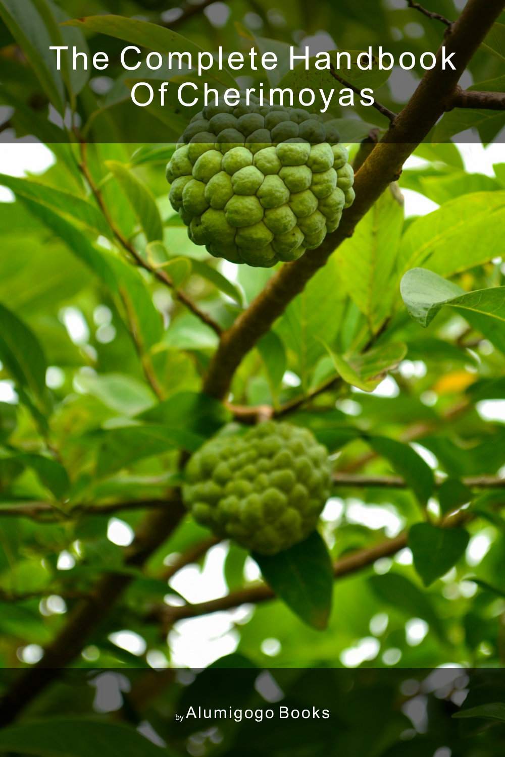 Cover of The Complete Handbook of Cherimoyas