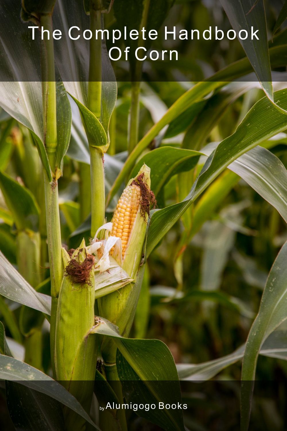 Cover of The Complete Handbook of Corn