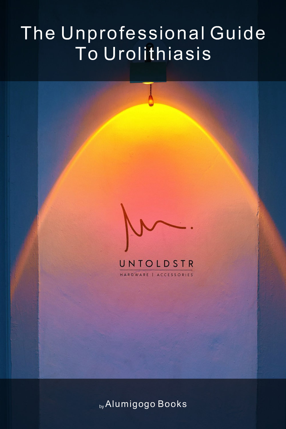 Cover of The Unprofessional Guide to urolithiasis