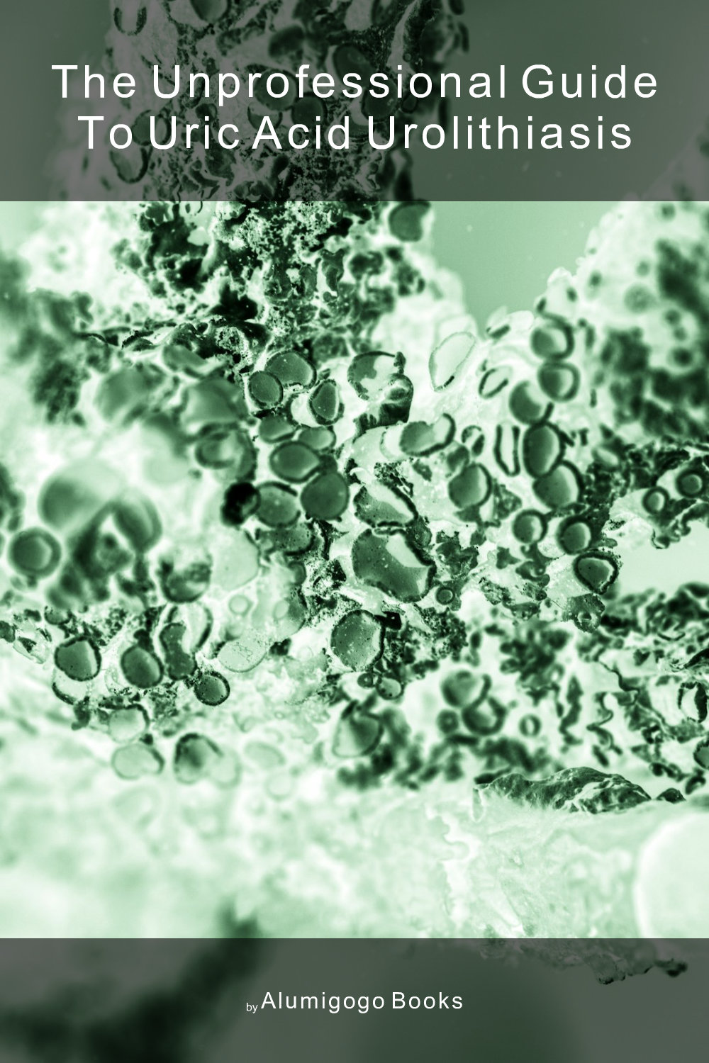 Cover of The Unprofessional Guide to uric acid urolithiasis