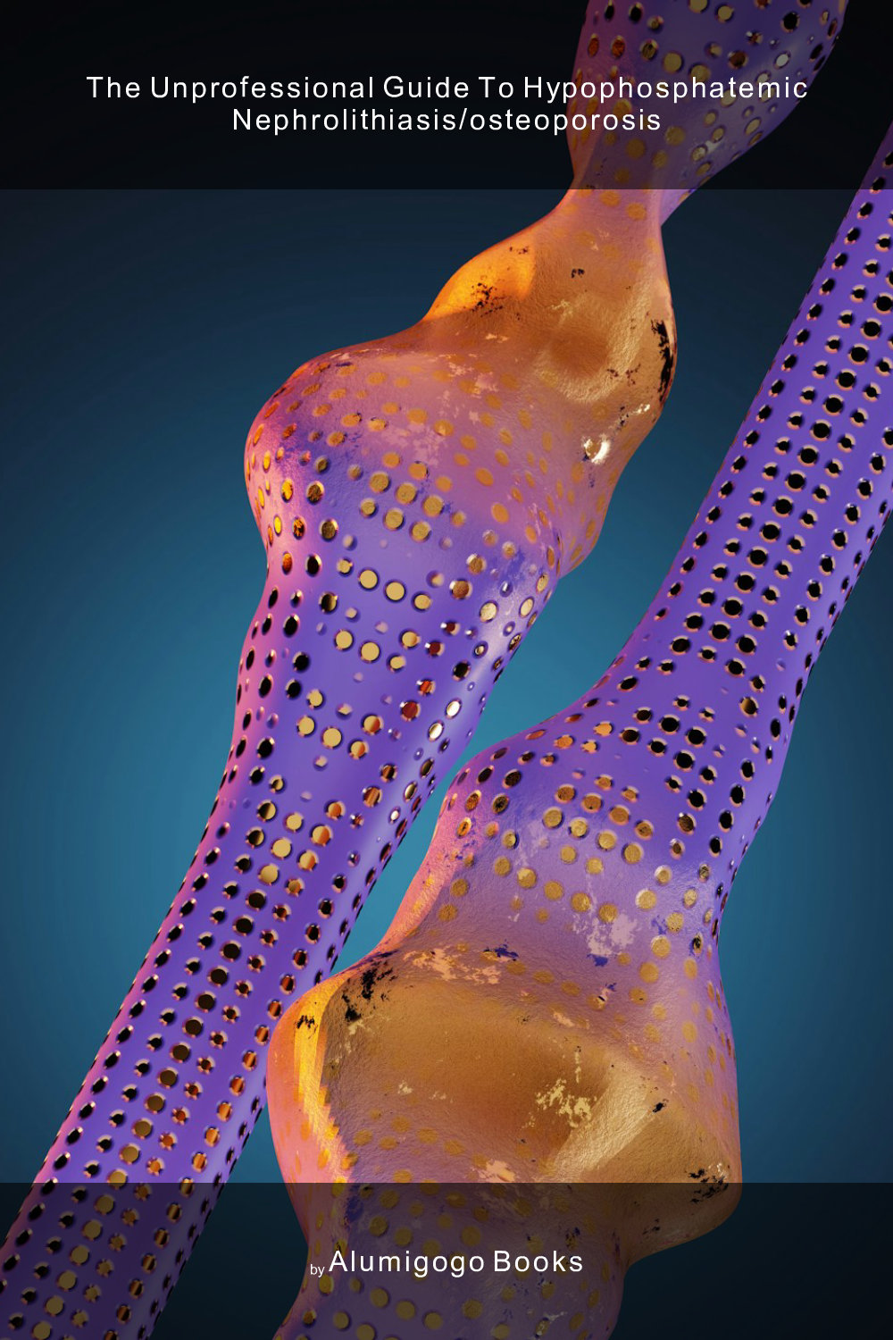 Cover of The Unprofessional Guide to hypophosphatemic nephrolithiasis/osteoporosis