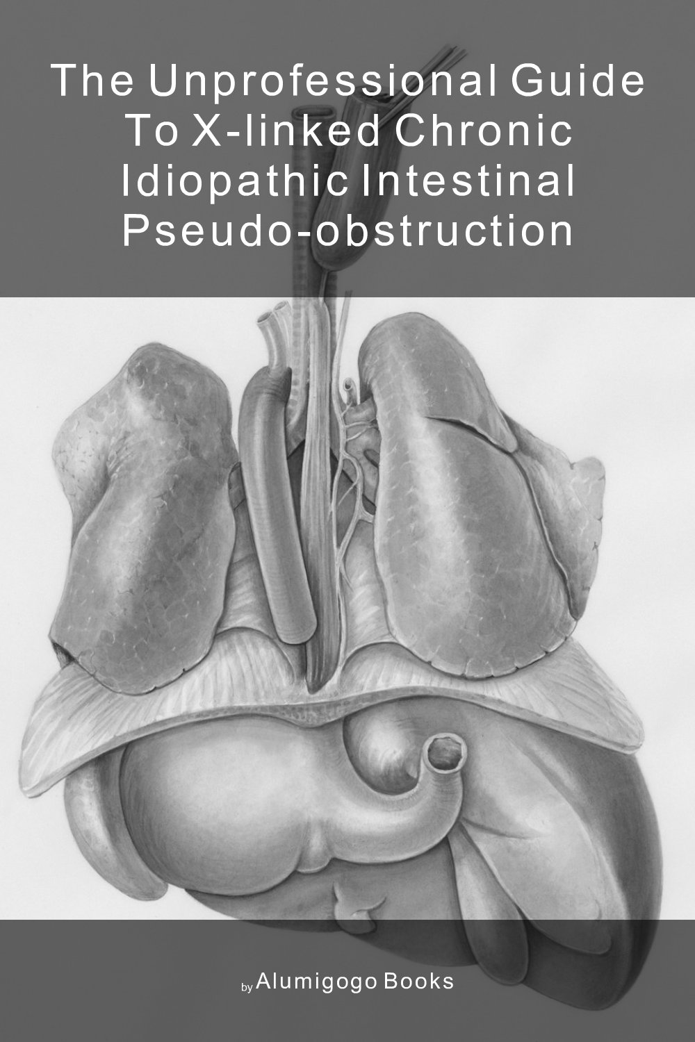 Cover of The Unprofessional Guide to X-linked chronic idiopathic intestinal pseudo-obstruction