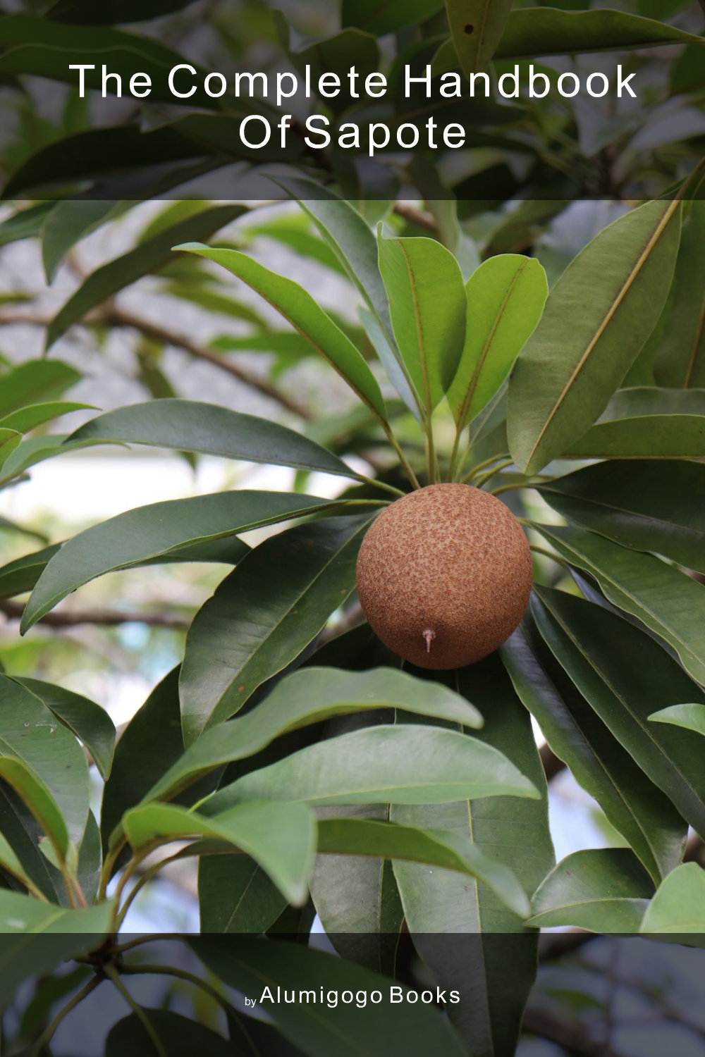 Cover of The Complete Handbook of Sapote