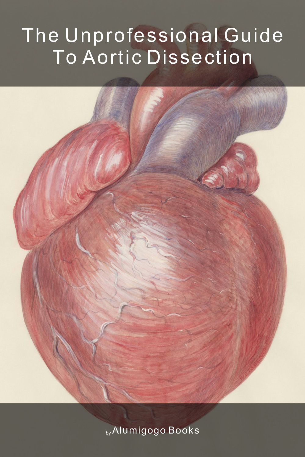 Cover of The Unprofessional Guide to aortic dissection