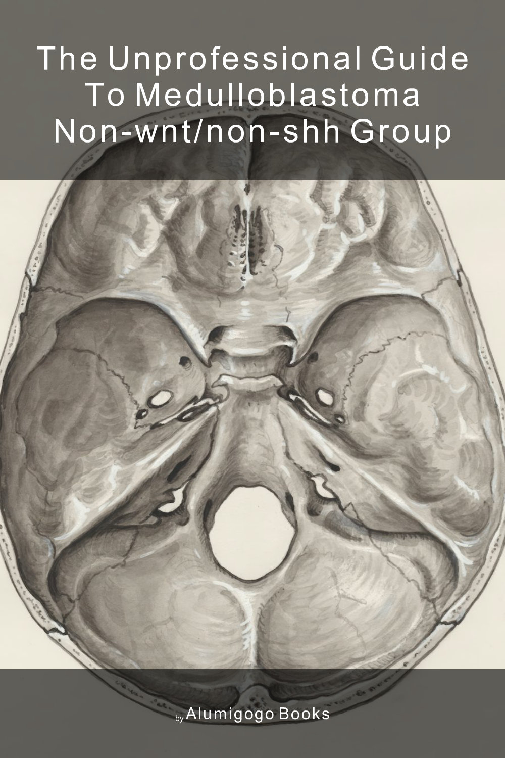Cover of The Unprofessional Guide to medulloblastoma non-WNT/non-SHH group