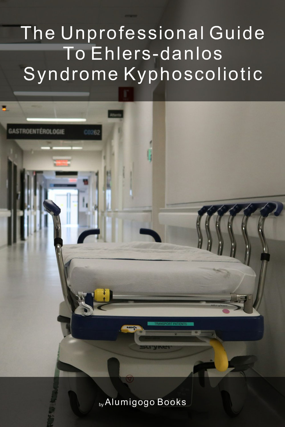 Cover of The Unprofessional Guide to Ehlers-Danlos syndrome kyphoscoliotic
