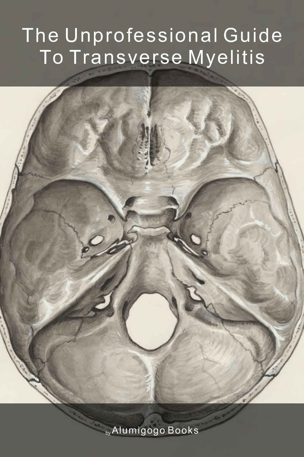 Cover of The Unprofessional Guide to transverse myelitis