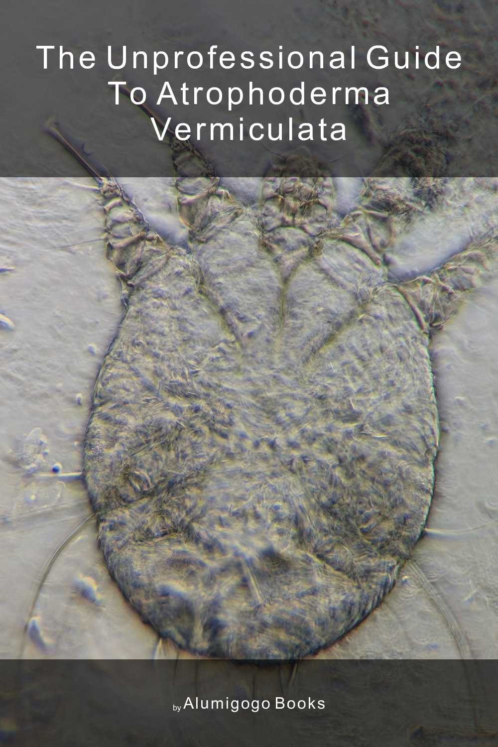 Cover of The Unprofessional Guide to atrophoderma vermiculata