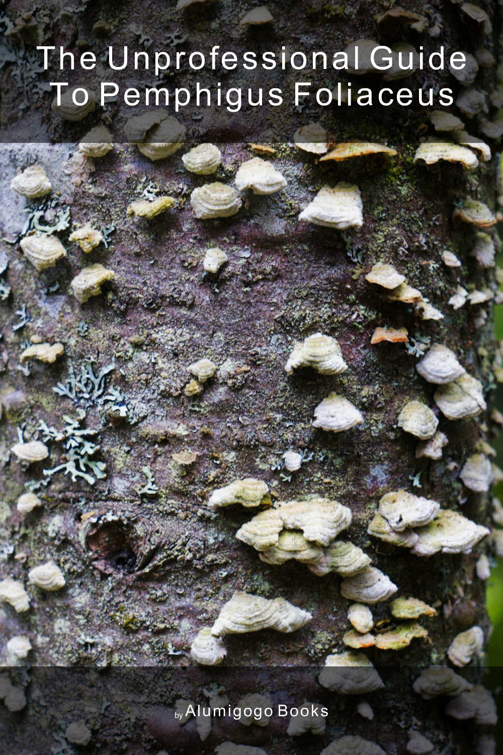 Cover of The Unprofessional Guide to pemphigus foliaceus