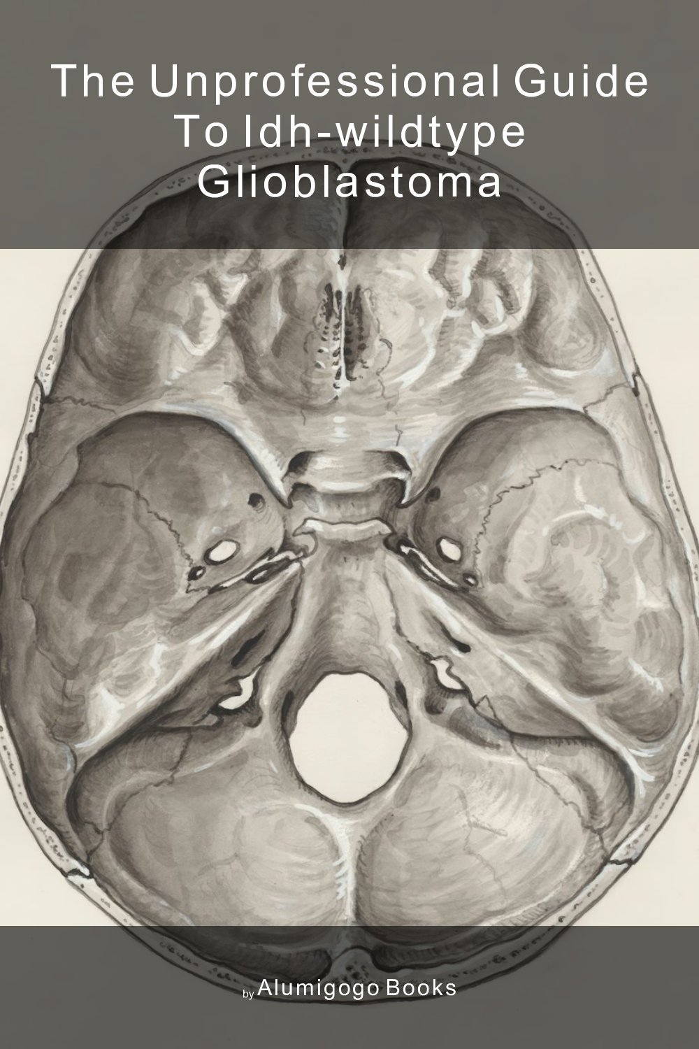 Cover of The Unprofessional Guide to IDH-wildtype glioblastoma
