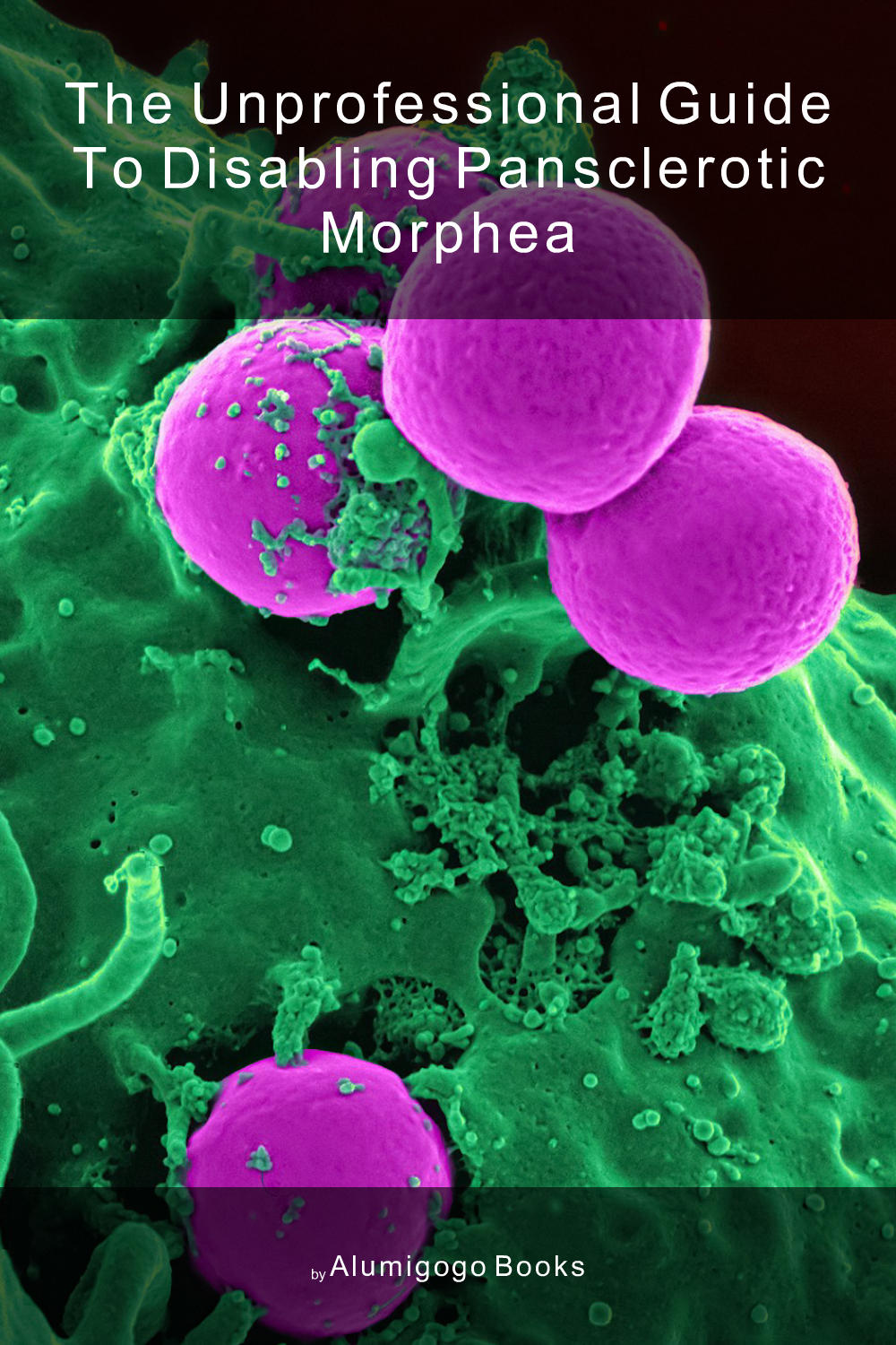 Cover of The Unprofessional Guide to disabling pansclerotic morphea