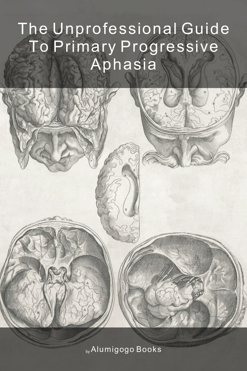 Cover of The Unprofessional Guide to primary progressive aphasia