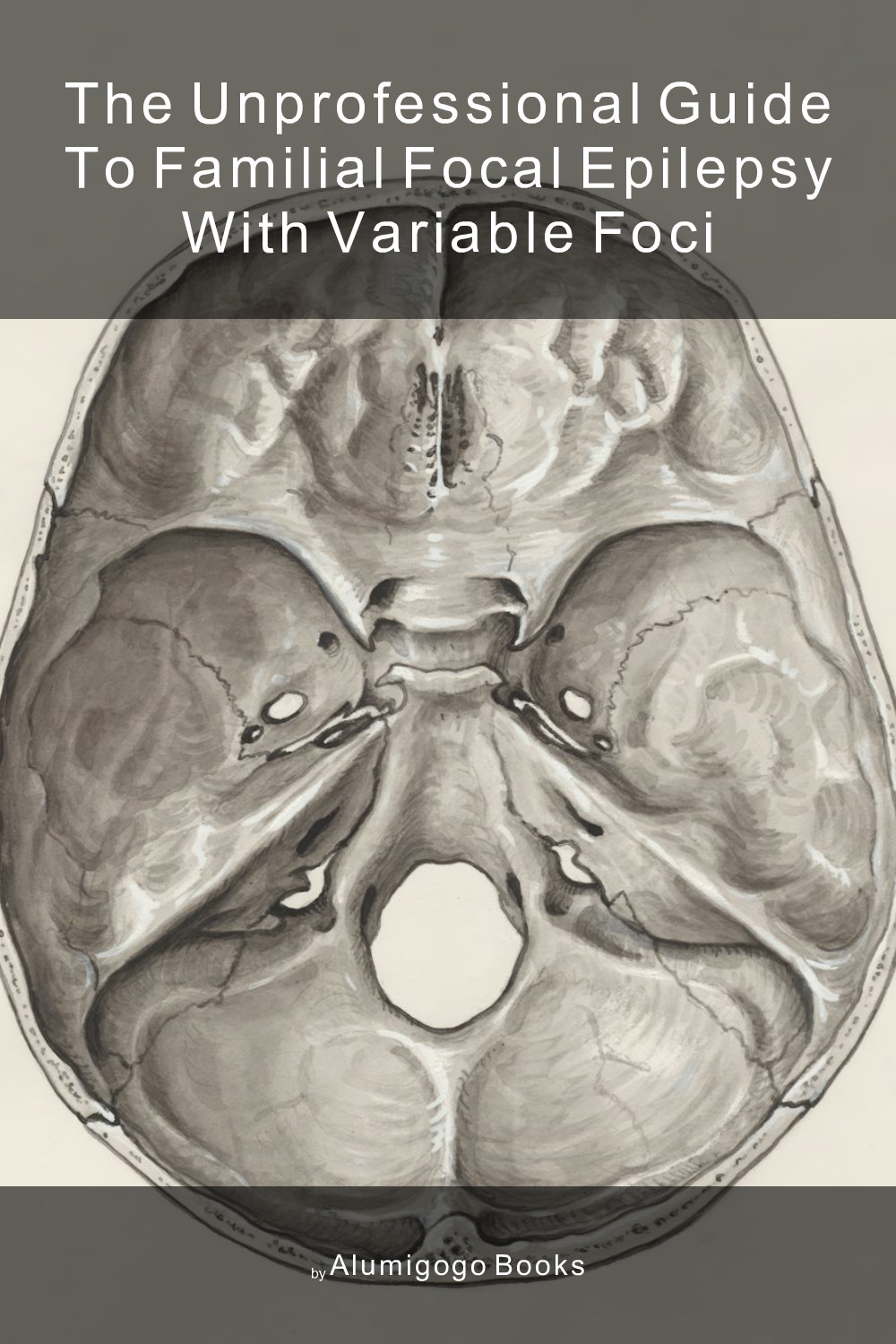 Cover of The Unprofessional Guide to familial focal epilepsy with variable foci