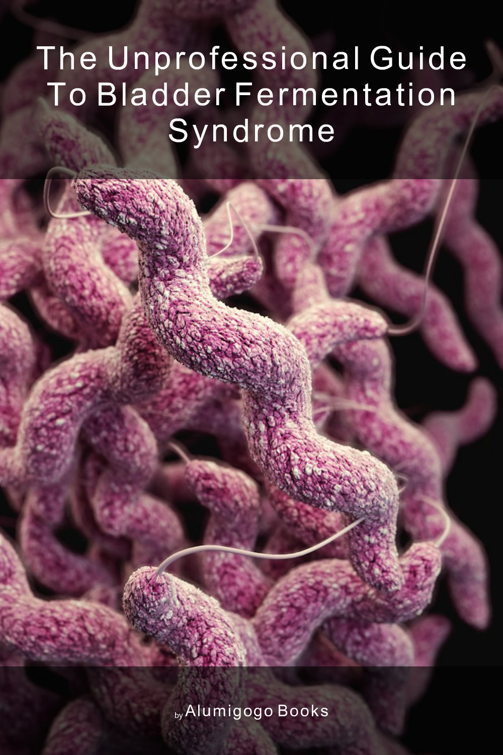 Cover of The Unprofessional Guide to bladder fermentation syndrome