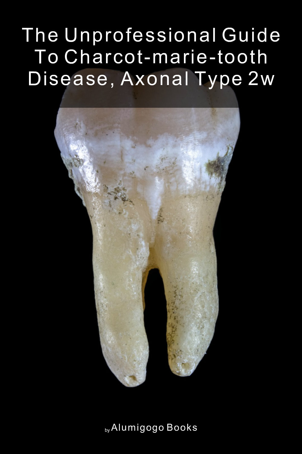Cover of The Unprofessional Guide to Charcot-Marie-Tooth disease, axonal type 2W
