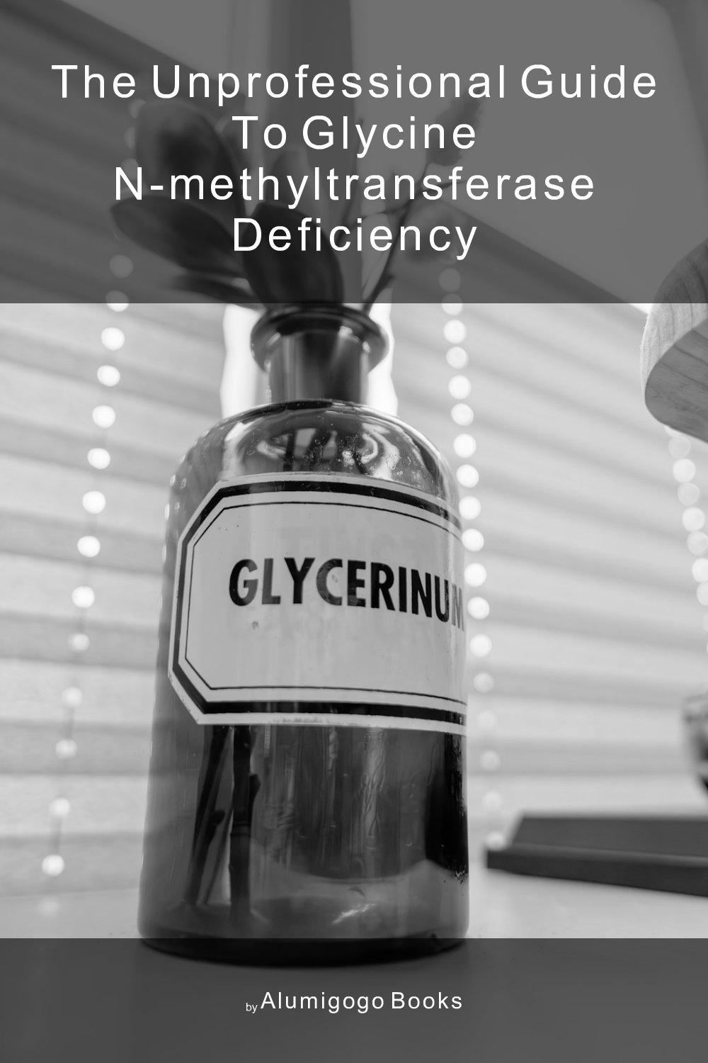 Cover of The Unprofessional Guide to glycine N-methyltransferase deficiency