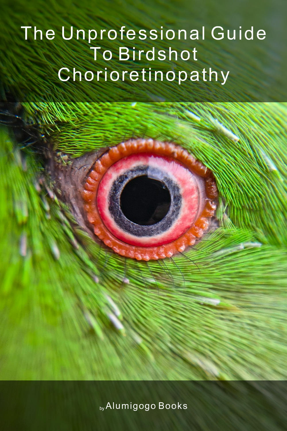 Cover of The Unprofessional Guide to birdshot chorioretinopathy