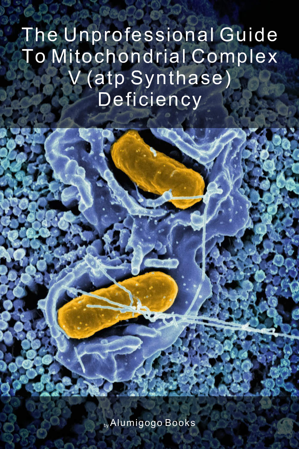 Cover of The Unprofessional Guide to mitochondrial complex V (ATP synthase) deficiency
